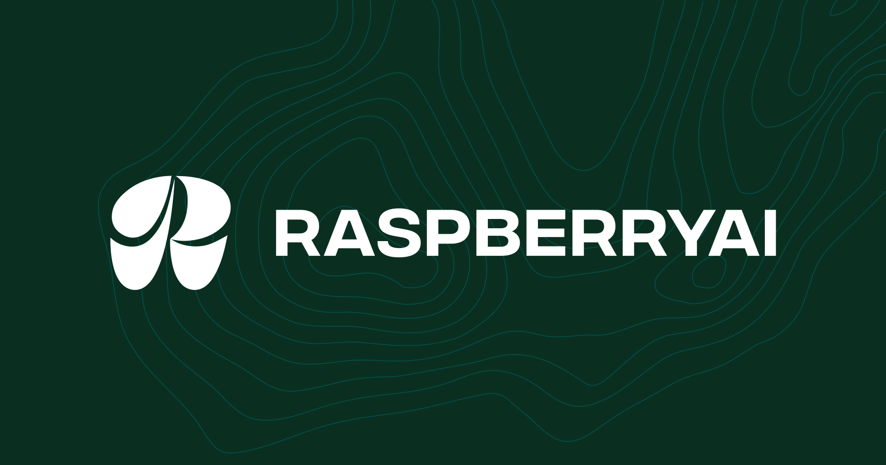 Investing in Raspberry AI | Andreessen Horowitz